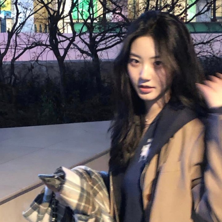 桃花映江山封面
